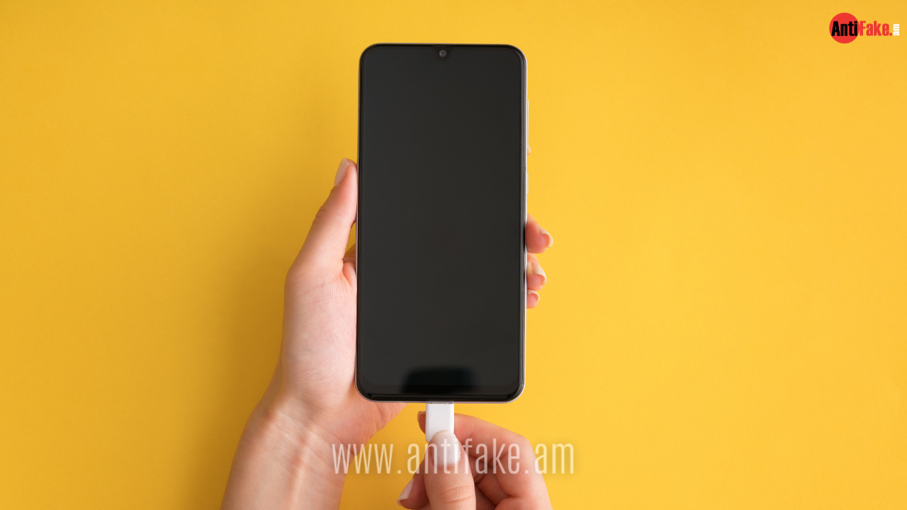 article-image